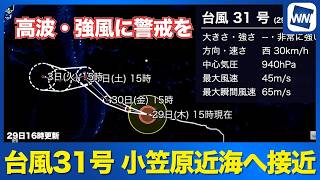 【台風31号 2026】週末に小笠原近海へ接近｜高波・強風に警戒を