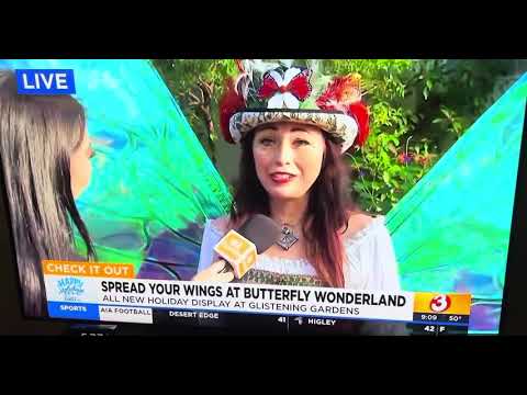 Promotional video thumbnail 1 for Award Winning Author & Butterfly Fairy