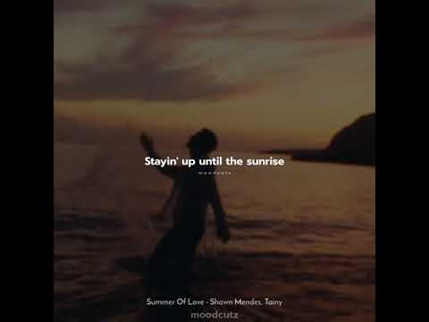 Summer Of Love - Shawn Mendes, Tainy | Lyrics | Whatsapp status