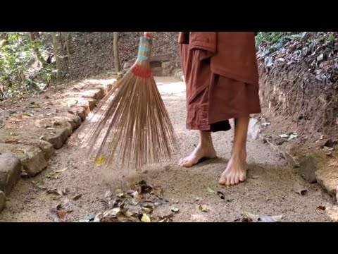 Life of the Forest Monk