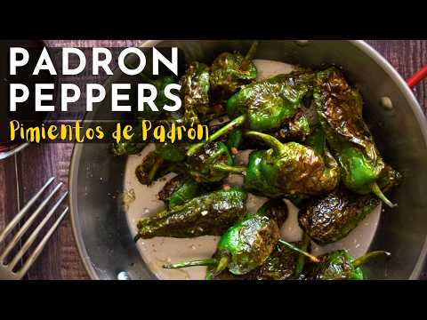 Padron peppers video thumbnail