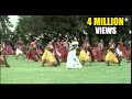 Gokulamlo Seetha Movie Gokula Krishna Video Song Pawan Kalyan Raasi