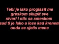 Tose Proeski - Srce nije kamen (Lyrics) by Nikola ...