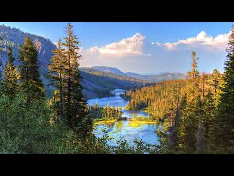 Nat Keefe with The Bow Ties - Daley's Reel