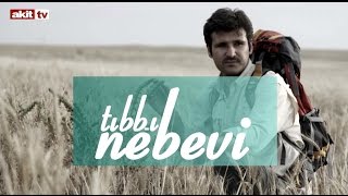 Tıbbi Nebevi - Hastalığın gerçek sebepleri nelerdir ?