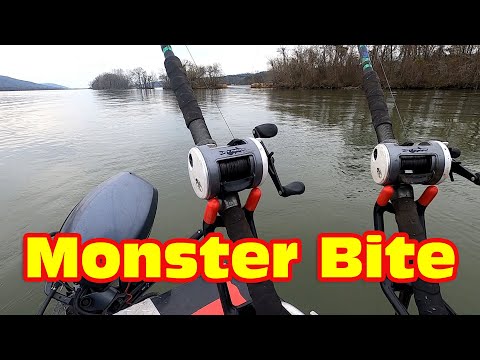 Locating and Catching the Giant American Catfish