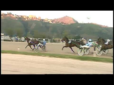 Trotto 26/01/2021 - 7ª corsa