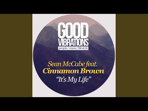 It's My Life (Original Mix)