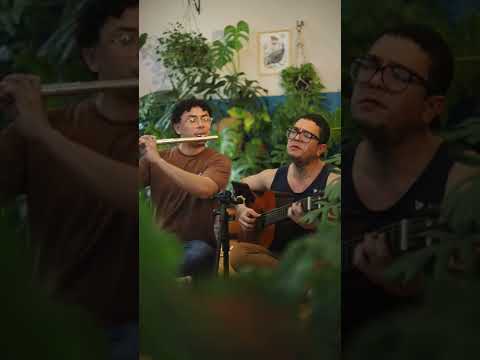 Mágica - Calcinha Preta | Marcelo di Holanda e Mateus Farias (cover)