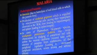 Dr.Sahar - Parasitic Infections 3 - Leishmaniasis
