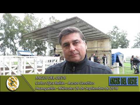 26-09-18 Nota Carlos Ojea Rullan - Asesor Genético - Angus del Oeste - Huanguelen