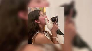 Cover art for under/over