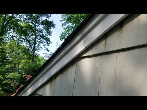 Large Carpenter Bees Infestation in Middletown, NJ