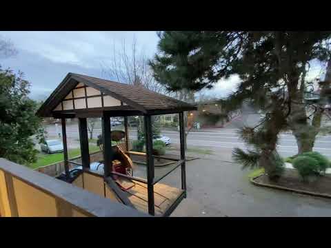 Craigslist Rooms For Rent Eugene