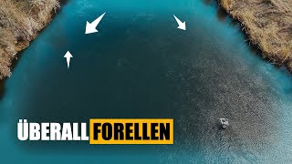 SO fängst DU Forellen im Frühjahr!