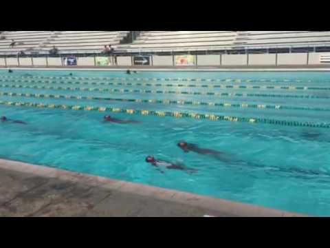 Synchronized swimming jamaica