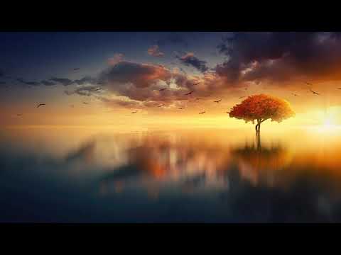 Hauntingly Beautiful Loon Call ~ 8 Hours ~ **With Calming Music**