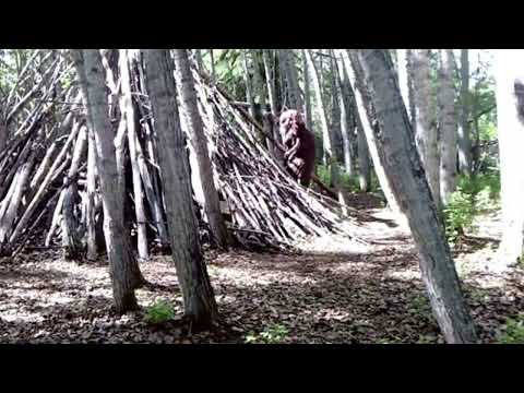 PROMO 2023 Boreal Bigfoot Expo