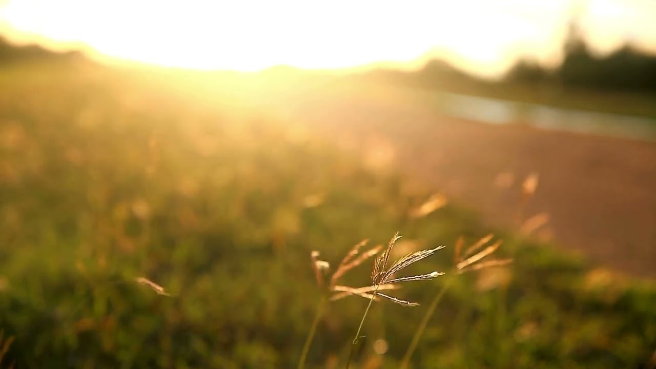 Relaxing meditation by Tomasz Hypnosis