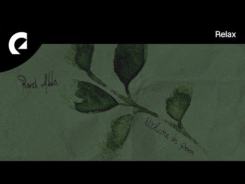 Rand Aldo - Waiting like the Storm