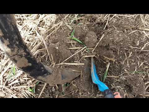 Stroh heraufarbeiten