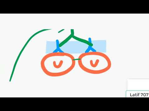 L'EXPLICATION LA PLUS CLAIRE DU TEST DE COOMBS