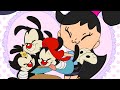 Yakko Wakko And Dot Warner Tribute 1K Subscribers Special