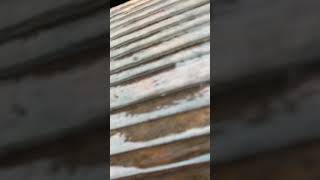 樫内利政 撮影　まもなくスタート