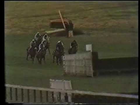 1981/82 Bradstone Mandarin Handicap Chase