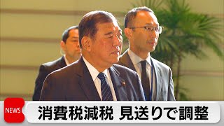 政府・自民党 消費減税見送り調整 林官房長官「税率を引き下げることは適当ではない」