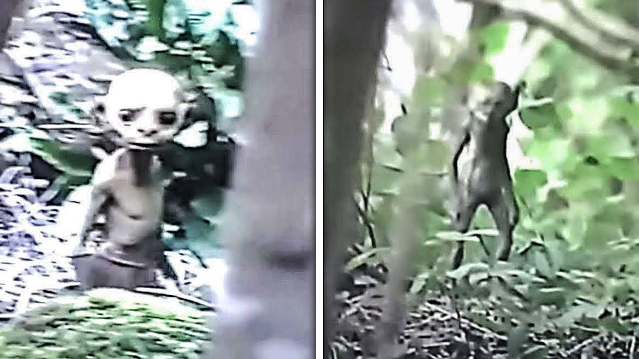 This Hiker Made a Chilling Discovery While Exploring an Abandoned Trail