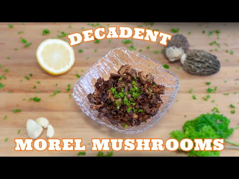 Decadent Morel Mushrooms | Perfect Pasta Topping | Vegan Recipes