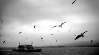 Semiha yank Sicak simsicaksin اجمل اغنية تركية مترجمة