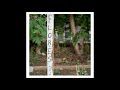 The Sea and Cake - "Flores" [2013]