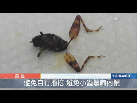 飛蛾產卵