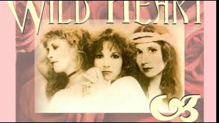 Stevie Nicks ~ Goodbye Baby (1982 Demo #1)