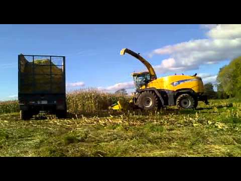 O'Brain's Cutting Maize