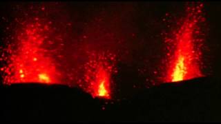 Wapassou - Femmes-Fleurs