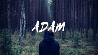 'Wasting Time' by Day Wave