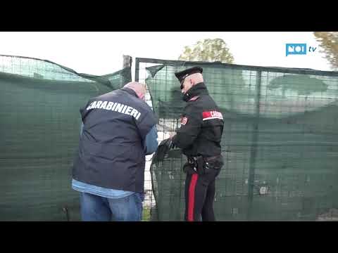 Giallo di Torre del Lago: si segue la pista dell'omicidio