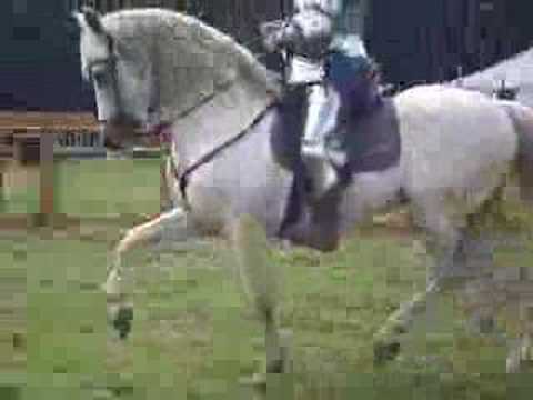 Azincourt 21-07-2007