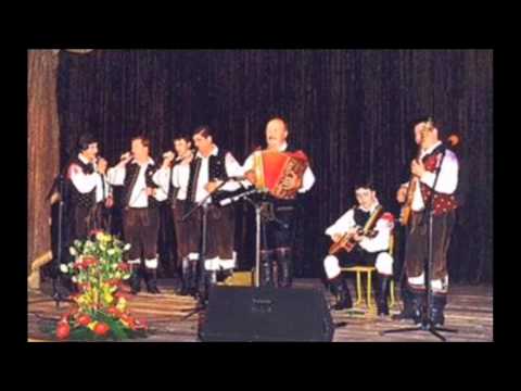 ansambel Franca Potočarja - Pojdi svojim sanjam naproti