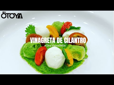 Vinagreta de Cilantro y Ensalada Gourmet | byOtoya