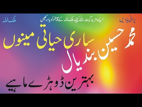 Saari Hayati Menu Jani | Muhammad Hussain Bandial | Best Punjabi Saraiki Original Audio Song