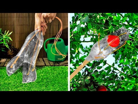 Awesome Gardening Hacks And Plants Growing Tips