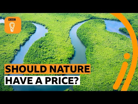 亞馬遜比亞馬遜更值錢嗎？| BBC 創意 (Is the Amazon worth more than Amazon? | BBC Ideas)