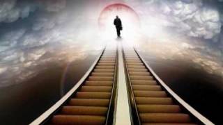 Karnataka - Strange Behaviour (Ben Goossens images)