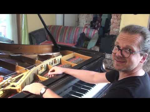 Piano Harp Pedal - Sašo Vollmaier / presentation