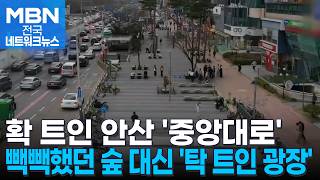 '단절에서 연결로'…안산 중앙대로 녹도, 시민 품으로 [전국네트워크]