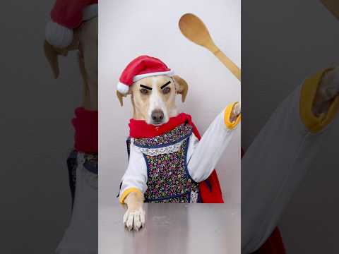 No one ever helps me with anything 😡 #Christmas #HolidaysWithYouTube